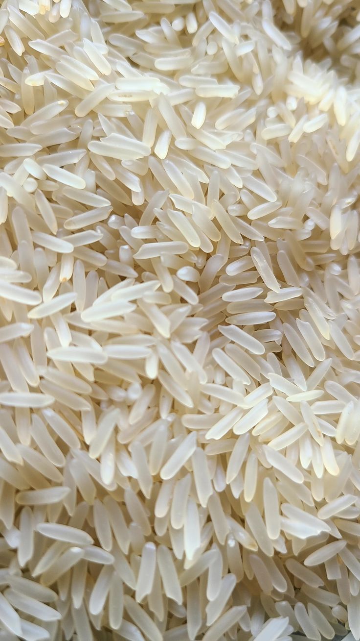Arroz