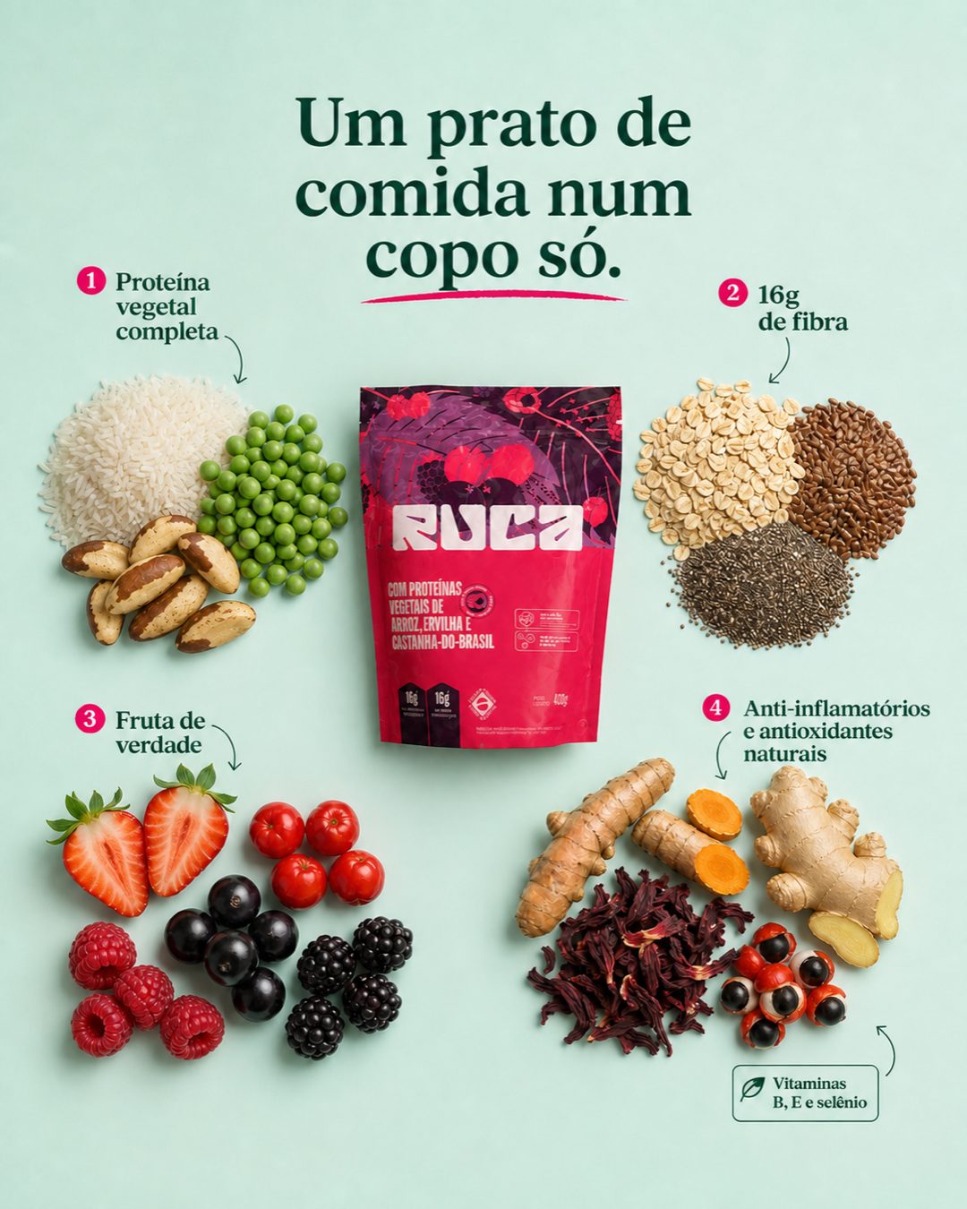 Anatomia da fórmula